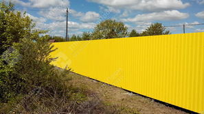 Профнастил С-8 п/э RAL 1018 (цинково-жёлтый) 0,45 мм