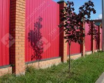 Профнастил С-8 п/э RAL 3003 (красный рубин) 0,7 мм